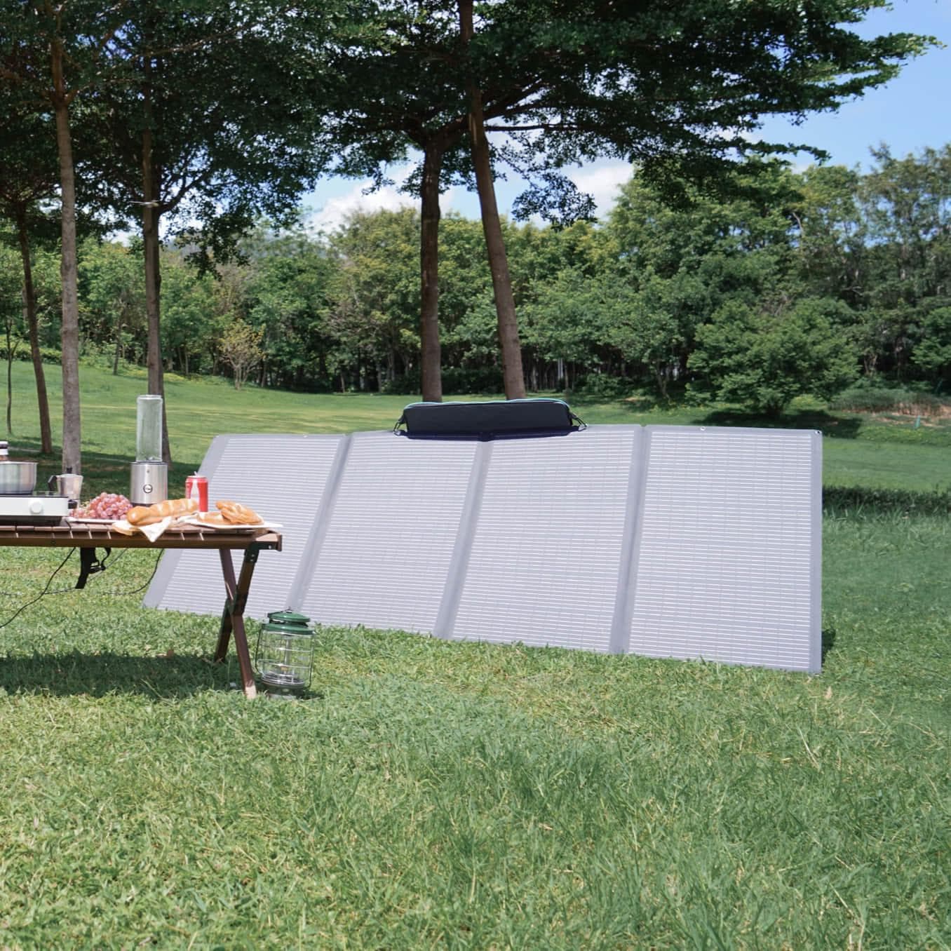 EcoFlow 400W Taşınabilir Güneş Paneli 4